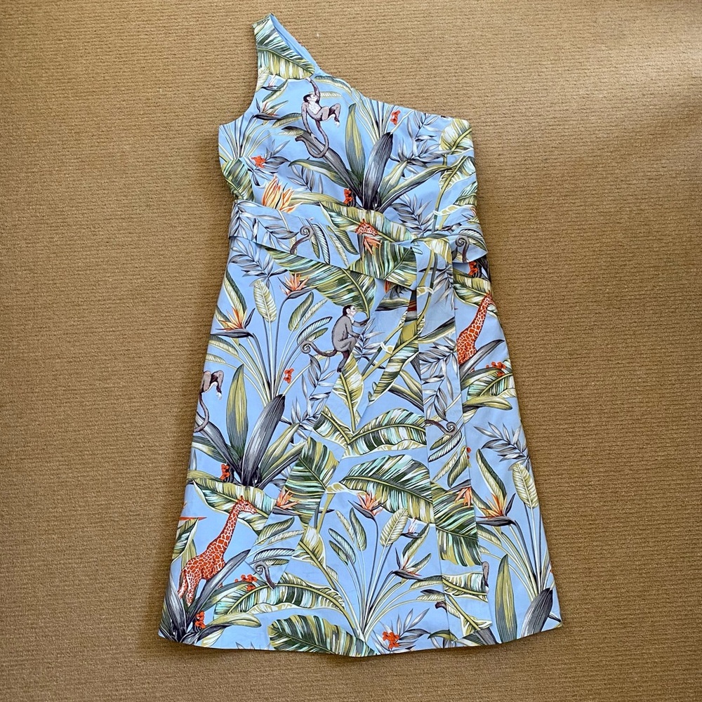 Ann Taylor dress, size 8